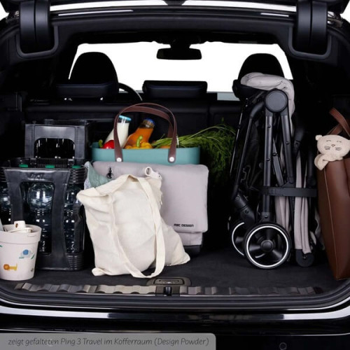 Прогулочная коляска ABC Design Ping 3 Travel Falcon